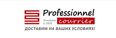 Логотип Курьерская служба Professionnel